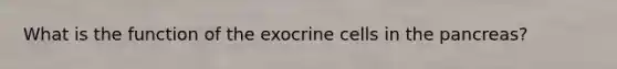 What is the function of the exocrine cells in the pancreas?