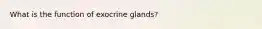 What is the function of exocrine glands?