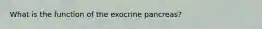 What is the function of the exocrine pancreas?