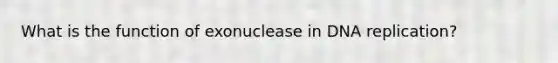 What is the function of exonuclease in DNA replication?