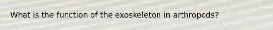 What is the function of the exoskeleton in arthropods?