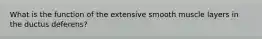 What is the function of the extensive smooth muscle layers in the ductus deferens?