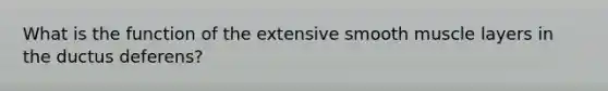 What is the function of the extensive smooth muscle layers in the ductus deferens?