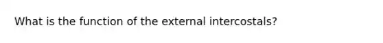 What is the function of the external intercostals?