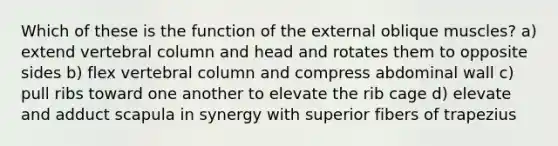 Which of these is the function of the external oblique muscles? a) extend vertebral column and head and rotates them to opposite sides b) flex vertebral column and compress abdominal wall c) pull ribs toward one another to elevate the rib cage d) elevate and adduct scapula in synergy with superior fibers of trapezius