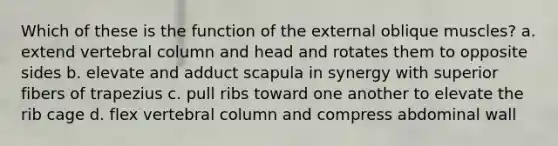 Which of these is the function of the external oblique muscles? a. extend vertebral column and head and rotates them to opposite sides b. elevate and adduct scapula in synergy with superior fibers of trapezius c. pull ribs toward one another to elevate the rib cage d. flex vertebral column and compress abdominal wall