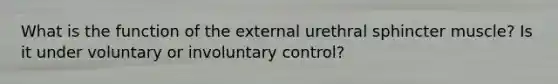 What is the function of the external urethral sphincter muscle? Is it under voluntary or involuntary control?