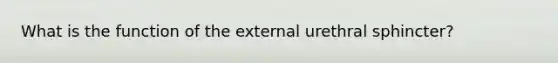 What is the function of the external urethral sphincter?