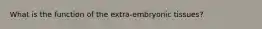 What is the function of the extra-embryonic tissues?