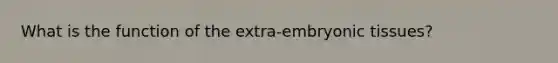 What is the function of the extra-embryonic tissues?