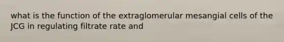 what is the function of the extraglomerular mesangial cells of the JCG in regulating filtrate rate and