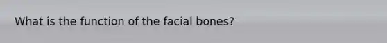 What is the function of the facial bones?