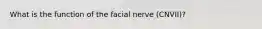 What is the function of the facial nerve (CNVII)?