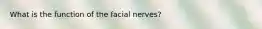 What is the function of the facial nerves?