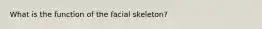 What is the function of the facial skeleton?