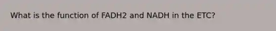 What is the function of FADH2 and NADH in the ETC?