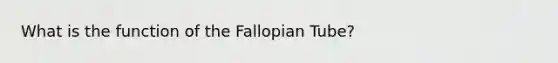 What is the function of the Fallopian Tube?