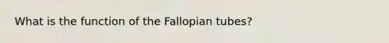 What is the function of the Fallopian tubes?