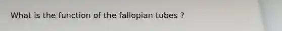 What is the function of the fallopian tubes ?