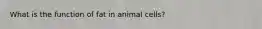 What is the function of fat in animal cells?