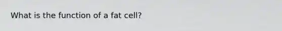 What is the function of a fat cell?