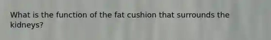 What is the function of the fat cushion that surrounds the kidneys?