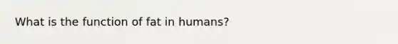 What is the function of fat in humans?