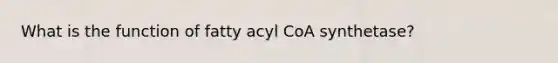 What is the function of fatty acyl CoA synthetase?