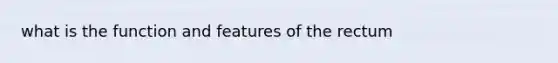 what is the function and features of the rectum