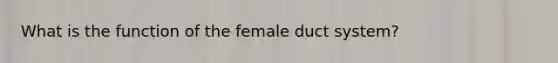 What is the function of the female duct system?