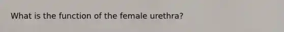 What is the function of the female urethra?