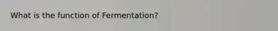 What is the function of Fermentation?