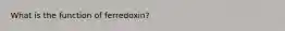 What is the function of ferredoxin?