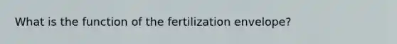 What is the function of the fertilization envelope?