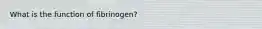 What is the function of fibrinogen?
