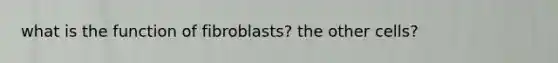 what is the function of fibroblasts? the other cells?