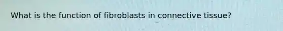 What is the function of fibroblasts in <a href='https://www.questionai.com/knowledge/kYDr0DHyc8-connective-tissue' class='anchor-knowledge'>connective tissue</a>?