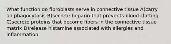 What function do fibroblasts serve in connective tissue A)carry on phagocytosis B)secrete heparin that prevents blood clotting C)secrete proteins that become fibers in the connective tissue matrix D)release histamine associated with allergies and inflammation