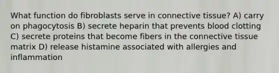 What function do fibroblasts serve in <a href='https://www.questionai.com/knowledge/kYDr0DHyc8-connective-tissue' class='anchor-knowledge'>connective tissue</a>? A) carry on phagocytosis B) secrete heparin that prevents blood clotting C) secrete proteins that become fibers in the connective tissue matrix D) release histamine associated with allergies and inflammation