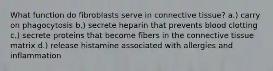 What function do fibroblasts serve in connective tissue? a.) carry on phagocytosis b.) secrete heparin that prevents blood clotting c.) secrete proteins that become fibers in the connective tissue matrix d.) release histamine associated with allergies and inflammation