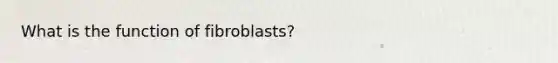 What is the function of fibroblasts?