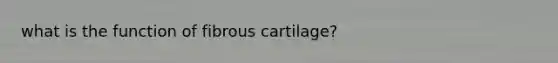 what is the function of fibrous cartilage?