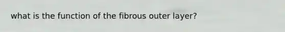what is the function of the fibrous outer layer?