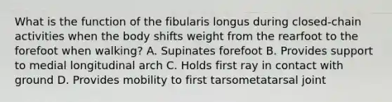 What is the function of the fibularis longus during closed-chain activities when the body shifts weight from the rearfoot to the forefoot when walking? A. Supinates forefoot B. Provides support to medial longitudinal arch C. Holds first ray in contact with ground D. Provides mobility to first tarsometatarsal joint