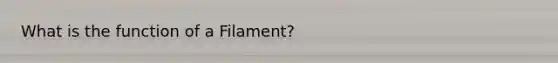 What is the function of a Filament?