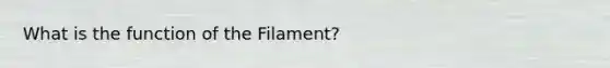 What is the function of the Filament?