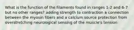 What is the function of the filaments found in ranges 1-2 and 6-7 but no other ranges? adding strength to contraction a connection between the myosin fibers and a calcium source protection from overstretching neurological sensing of the muscle's tension