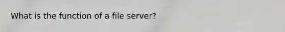 What is the function of a file server?