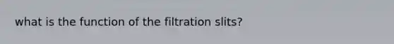 what is the function of the filtration slits?