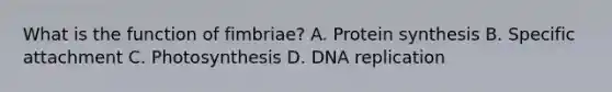 What is the function of fimbriae? A. Protein synthesis B. Specific attachment C. Photosynthesis D. DNA replication